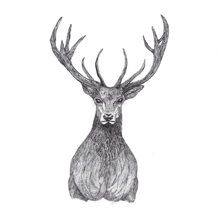 Stag