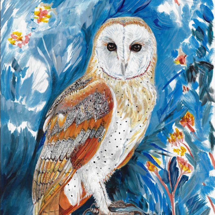 Barn Owl